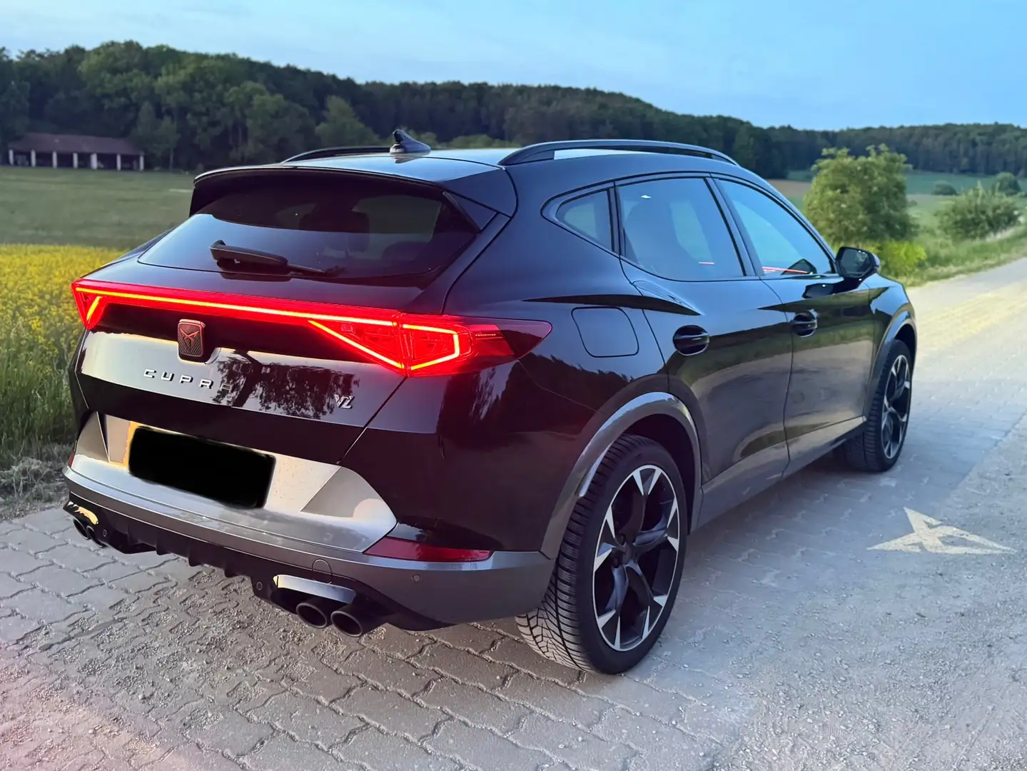 CUPRA Formentor Formentor VZ 2.0 TSI 4Drive DSG Schwarz - 1