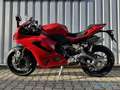 Ducati sofort verfügbar Rouge - thumbnail 4