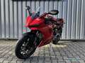 Ducati sofort verfügbar Rouge - thumbnail 5
