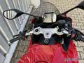 Ducati sofort verfügbar Rouge - thumbnail 3