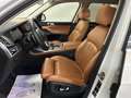 BMW X7 xDrive 40 i Design Pure Excellence *75 Tkm Weiß - thumbnail 8
