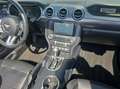 Ford Mustang Convertible 5.0 Ti-VCT V8 Aut. GT Gris - thumbnail 11