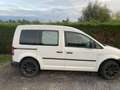 Volkswagen Caddy Life 1.6 CR TDi Baseline - thumbnail 2