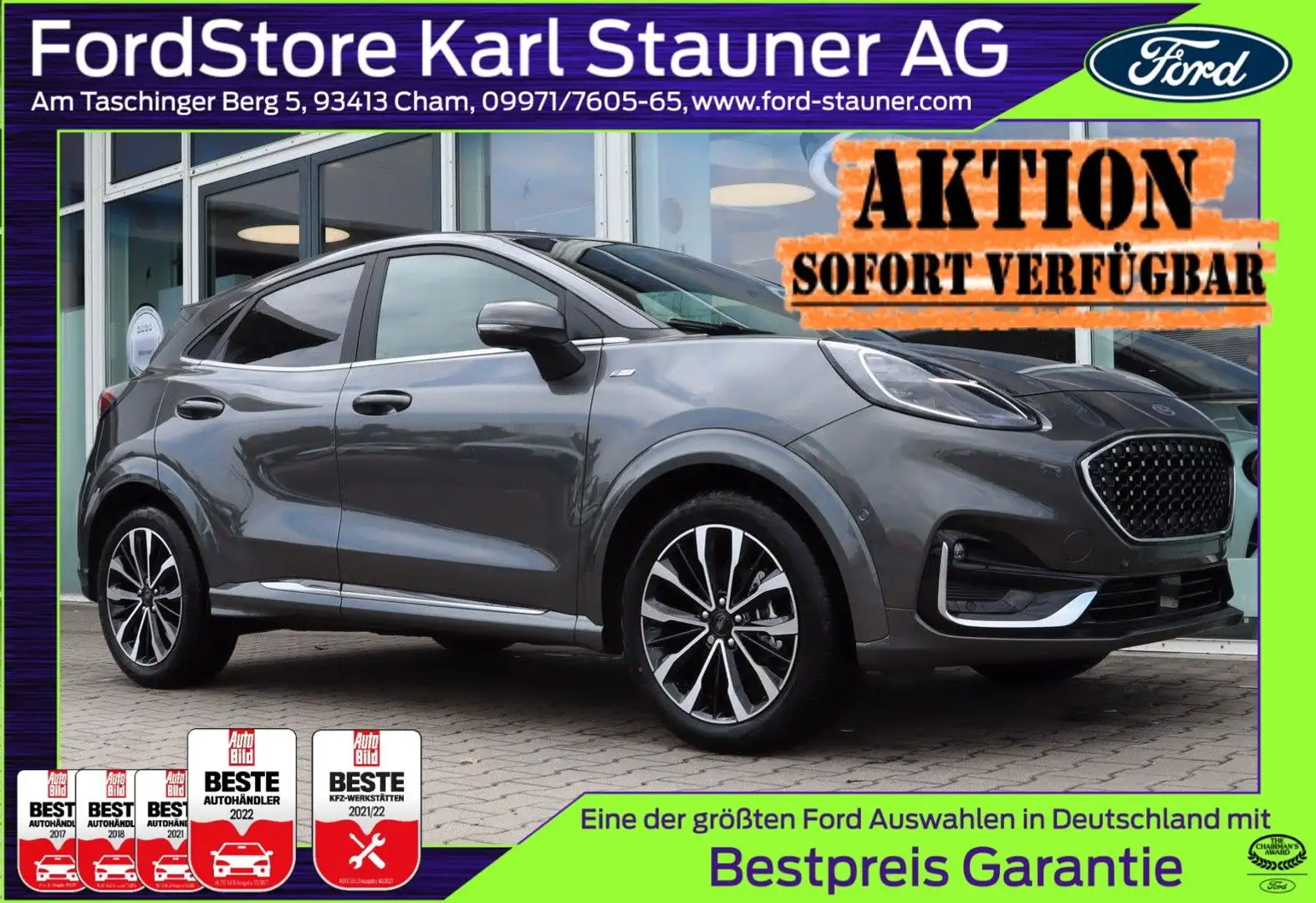 Ford Puma ST-Line Vignale 1.0 EcoB. 4,99% FIN* AHK Šedá - 1