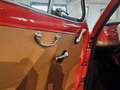 Fiat 500 F OTTOBULLONI 1965 Rood - thumbnail 12