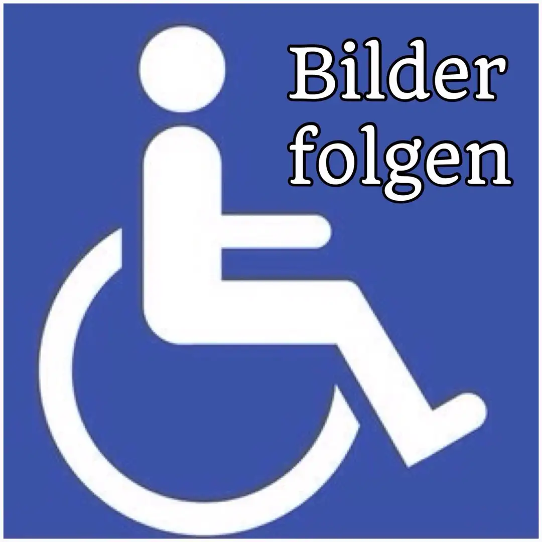 Ford Tourneo Courier Rollstuhlrampe Heckausschnitt AMF-Futuresafe Mwst Weiß - 2