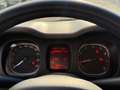 Fiat Panda Panda 1.2 Lounge Bianco - thumbnail 14