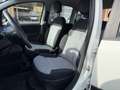 Fiat Panda Panda 1.2 Lounge Bianco - thumbnail 9