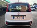 Fiat Panda Panda 1.2 Lounge Bianco - thumbnail 5