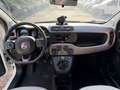 Fiat Panda Panda 1.2 Lounge Bianco - thumbnail 10