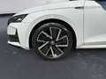 Skoda Octavia Sportline TDI DSG Blanco - thumbnail 9