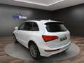 Audi Q5 2.0 TDI quattro S-LINE°ACC°STANDHEIZNG°XENON Weiß - thumbnail 6