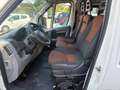 Fiat Ducato Bianco - thumbnail 9