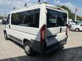 Fiat Ducato Bianco - thumbnail 5