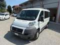 Fiat Ducato Bianco - thumbnail 1