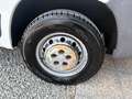 Fiat Ducato Bianco - thumbnail 10