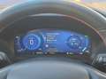 Ford Kuga 2.5 Full Hybrid 190 CV CVT 2WD ST-Line Grau - thumbnail 15