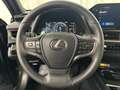 Lexus UX 250h Business Line Plus Vert - thumbnail 21