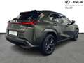 Lexus UX 250h Business Line Plus Vert - thumbnail 17