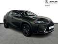 Lexus UX 250h Business Line Plus Vert - thumbnail 18
