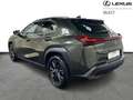 Lexus UX 250h Business Line Plus Vert - thumbnail 3