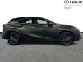 Lexus UX 250h Business Line Plus Vert - thumbnail 16