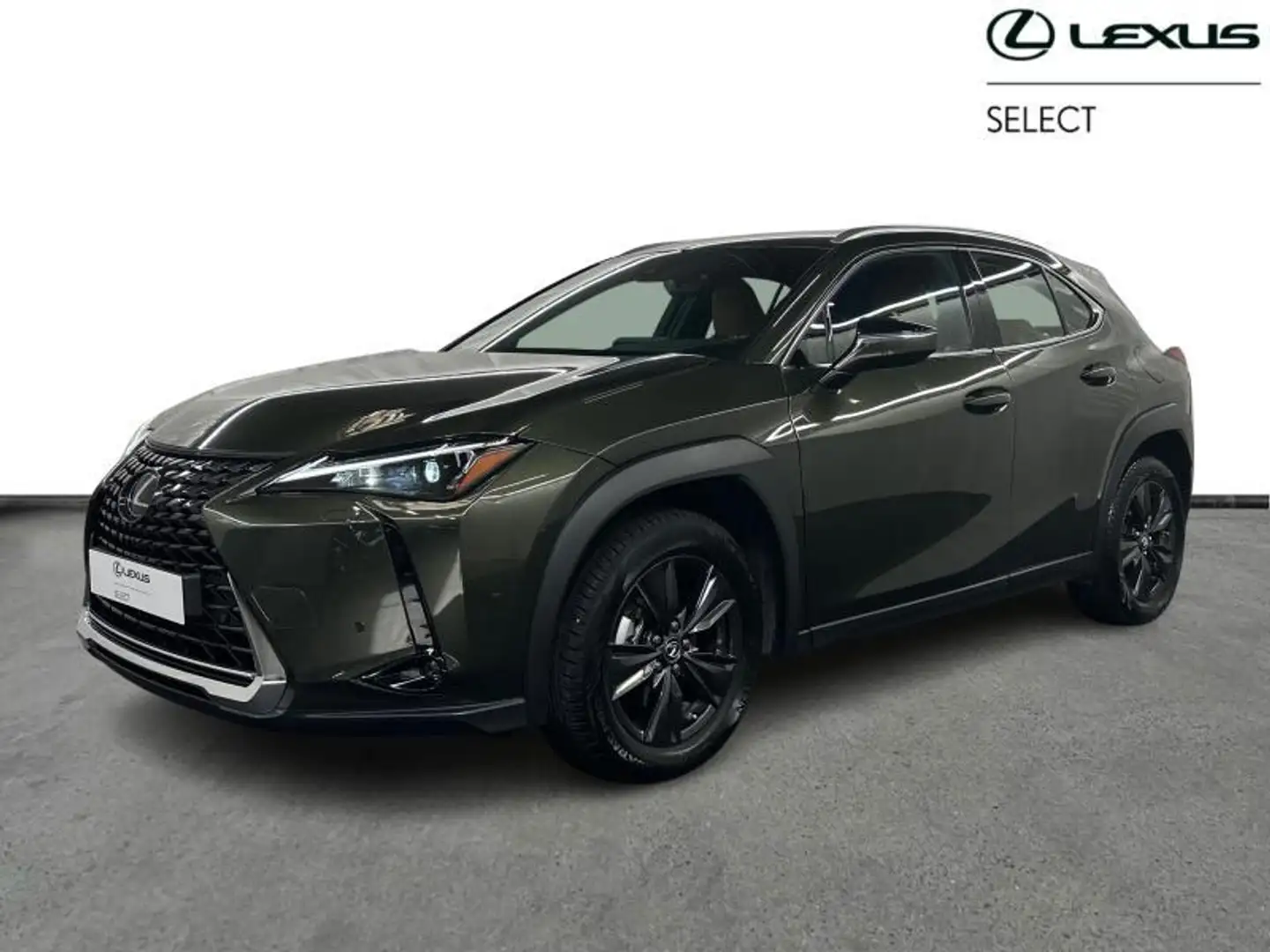 Lexus UX 250h Business Line Plus Vert - 1