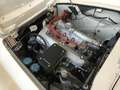 Fiat OSCA Cabriolet Neuwertig Blanc - thumbnail 24
