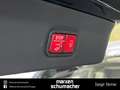Mercedes-Benz GLS 600 Maybach GLS 600 FirstClass+Burm3D+Distr+HuD+Pano Verde - thumbnail 22