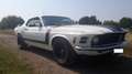 Ford Mustang Mustang 302 Boss (Clone) V8 Blanco - thumbnail 4