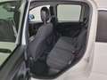 Fiat Panda 1.0 FireFly S&S Hybrid Pandina Blanco - thumbnail 10