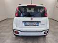Fiat Panda 1.0 FireFly S&S Hybrid Pandina Blanco - thumbnail 3