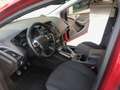 Ford Focus SW 1.6 tdci Titanium 115cv Rood - thumbnail 9