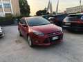 Ford Focus SW 1.6 tdci Titanium 115cv Rood - thumbnail 1
