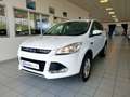 Ford Kuga 2.0 TDCi 163cv AWD Powershift TITANIUM White - thumbnail 1