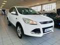 Ford Kuga 2.0 TDCi 163cv AWD Powershift TITANIUM White - thumbnail 8