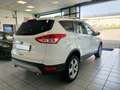 Ford Kuga 2.0 TDCi 163cv AWD Powershift TITANIUM Bianco - thumbnail 14