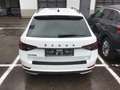 Skoda Superb Combi SportLine 1.5TSI DSG Matrix-Beam CA Weiß - thumbnail 10