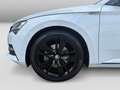 Skoda Superb Combi SportLine 1.5TSI DSG Matrix-Beam CA Weiß - thumbnail 5