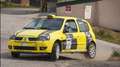 Renault Clio clio rs 2.0 16v Rally - thumbnail 1