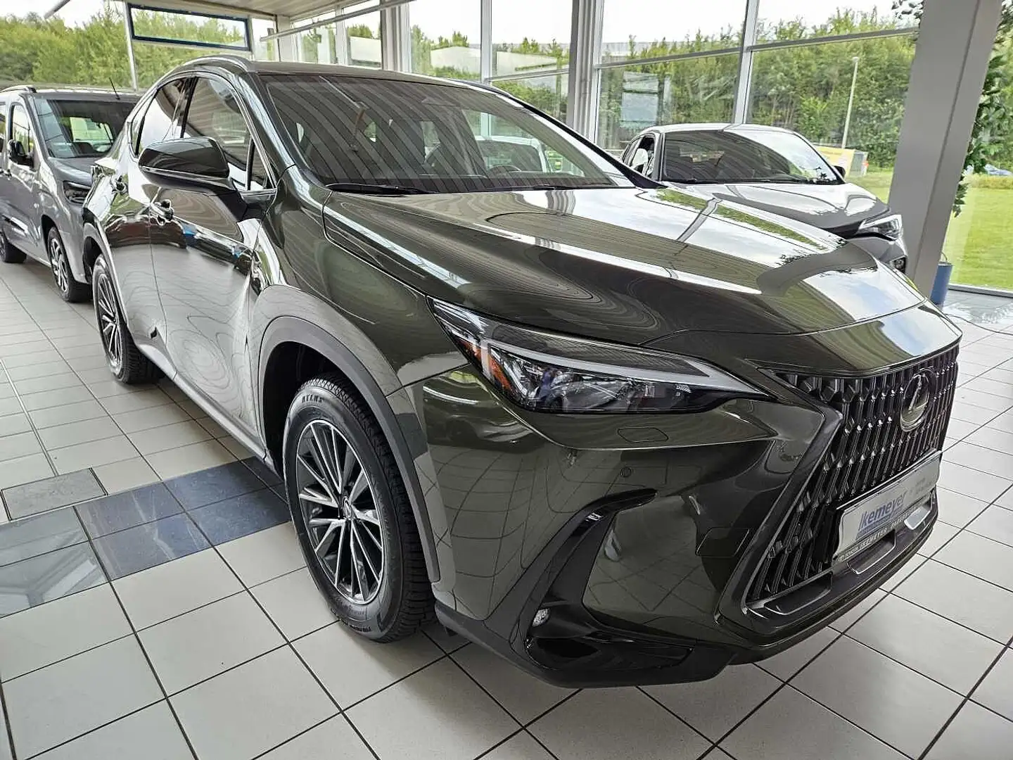 Lexus NX 450h+ E-FOUR Business Leder elektrische Sitzverstellung Verde - 2