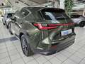 Lexus NX 450h+ E-FOUR Business Leder elektrische Sitzverstellung Verde - thumbnail 4