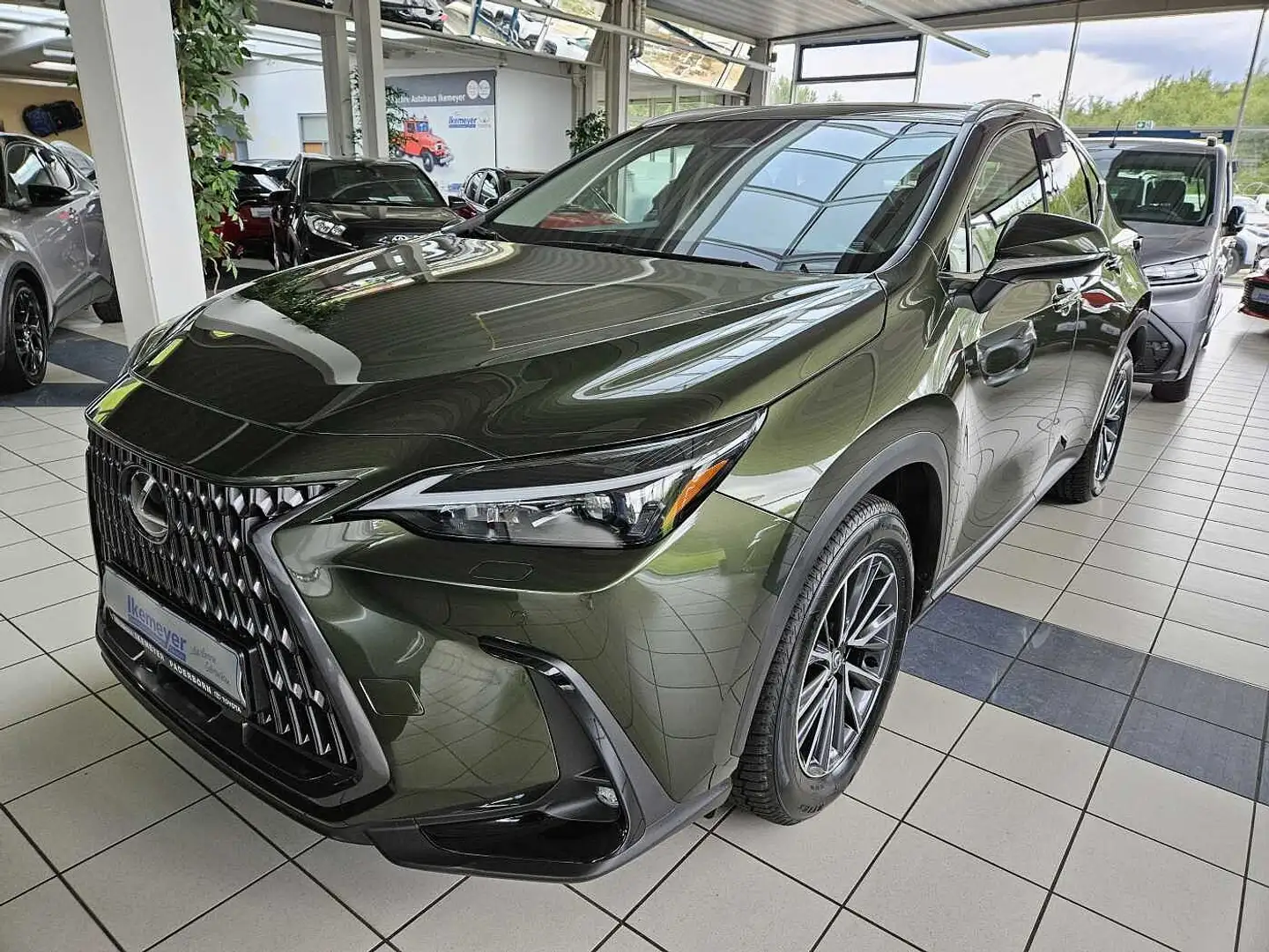 Lexus NX 450h+ E-FOUR Business Leder elektrische Sitzverstellung Verde - 1