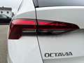 Skoda Octavia Combi 1,0 TSI Active Weiß - thumbnail 35