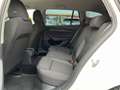 Skoda Octavia Combi 1,0 TSI Active Weiß - thumbnail 14