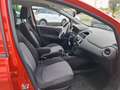 Fiat Punto Basis 1.Hand,SHZ,Alufelgen Rosso - thumbnail 15