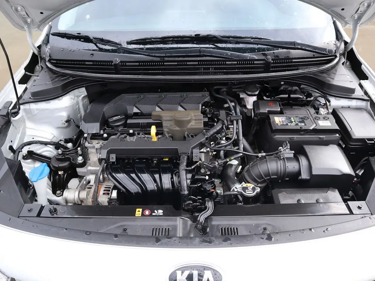 Kia Rio fotografie Kia Rio