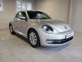 Volkswagen Maggiolino CABRIO 2.0 tdi FULL-LED APPLE CARPLAY+ANDROID AUTO Argent - thumbnail 4
