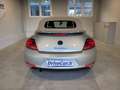 Volkswagen Maggiolino CABRIO 2.0 tdi FULL-LED APPLE CARPLAY+ANDROID AUTO Argent - thumbnail 6