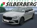 Skoda Scala 1.0 TSI DSG Tour Black 17" Matrix Grau - thumbnail 1